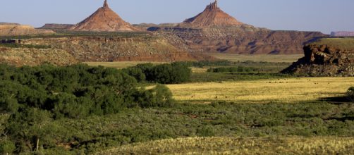 Indian Creek at Bears Ears National Monument. (Image via Wikimedia Commons)