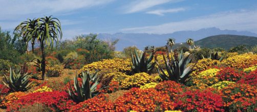 South Africa - the beauty of the Karoo - Image credit - South African Tourism | Flickr