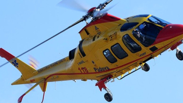 Monza: giardiniere muore dopo essere precipitato da una pianta nella villa di Berlusconi