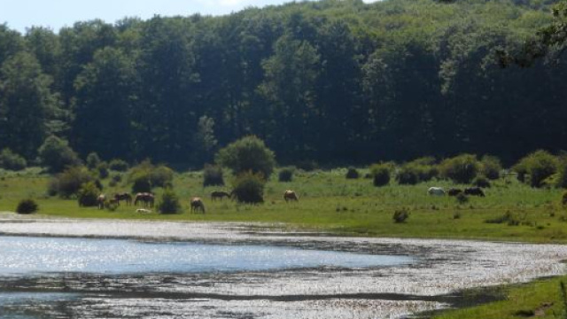 Parco di Val D'Agri in Basilicata