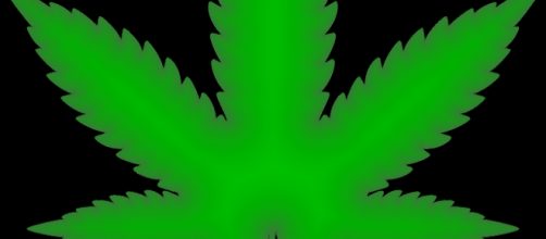 Teenage marijuana use is linked to bipolar symptoms. - [Photo by GDJ at Pixabay.com]