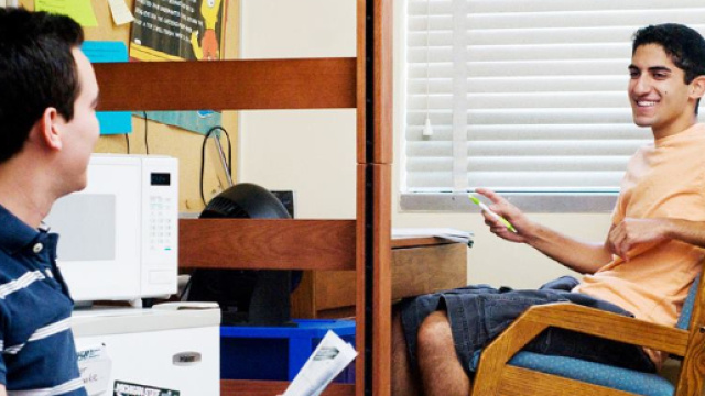 Esempio di rapporto tra coinquilini. Fonte: google