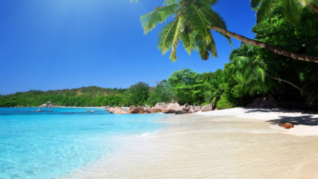 L'azienda italiana Lasersoft regala una vacanza ai Caraibi ai dipendenti