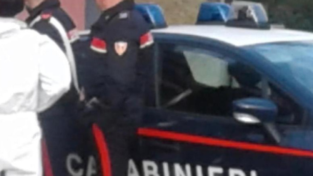 Prima uccide i due figlioletti e poi tenta il suicidio