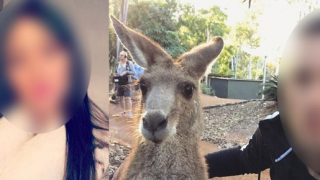 Tarek Benattia au casting des Marseillais Australia ? Les indices qui s&egrave;ment le doute !