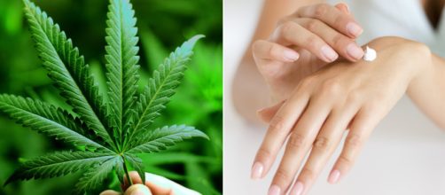 Cannabis oil based skincare. Image Credit: Blasting News