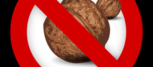 Nut-Free snack takes off - Image courtesy of Kurious on Pixabay