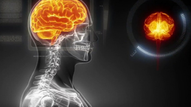 Ultimi studi scientifici sulle cause dell'omosessualit&agrave;