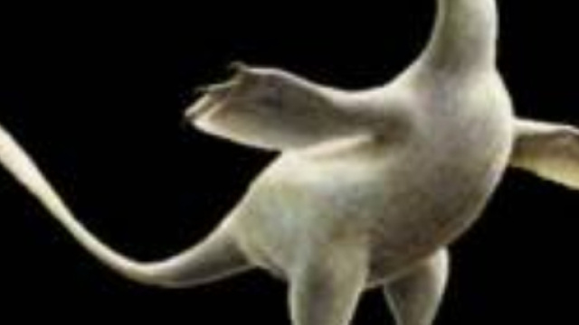 Nuovo tipo di dinosauro scoperto: un predatore anfibio