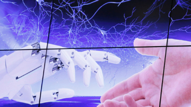 Sam risponde a svariate domande su politica, istruzione ed immigrazione