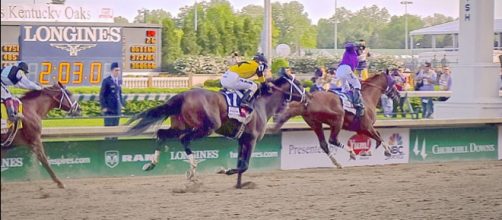 Race horses (Image credit &ndash; Bill Brine, Wikimedia Commons)