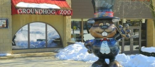 Punxsutawney Phil groundhog day, photo by john mccormick