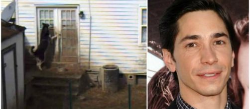 Justin Long Stars as Charlie, a Neglected 'Backyard Dog' | PETA - peta.org