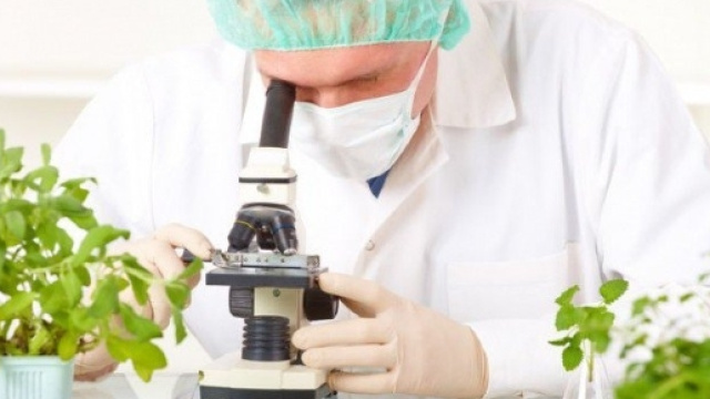 Analisi e studi sui possibili residui in frutta e ortaggi.