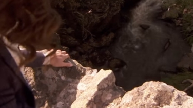 Camilla uccide Nestor gettandolo gi&ugrave; da un ponte.