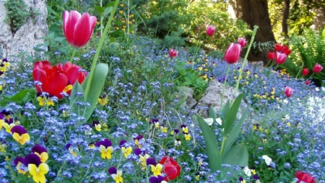 Meteo, un p&ograve; di primavera a San Valentino