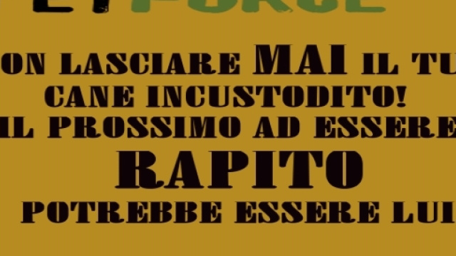 Il tuo cane potrebbe essere rapito, non perderlo di vista!