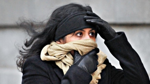 50 persone intossicate in Germania - villafrancaweek.it