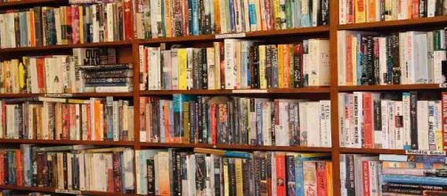 Ru&iacute;z Zaf&oacute;n charl&oacute; en el Niemeyer sobre la tetralog&iacute;a del Cementerio de los Libros Olvidados