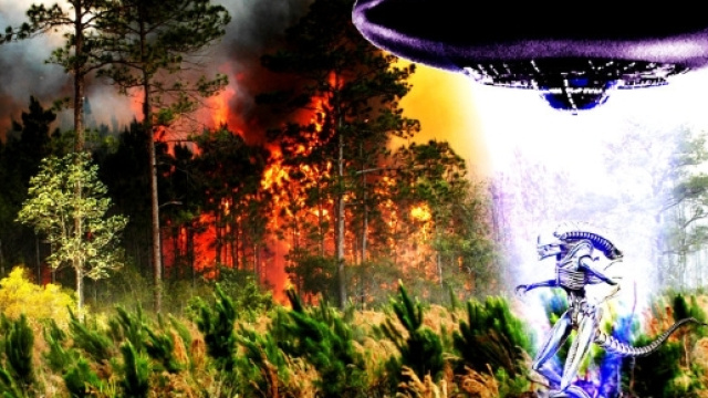Alien Forest Fire by MixMatter on DeviantArt - deviantart.com