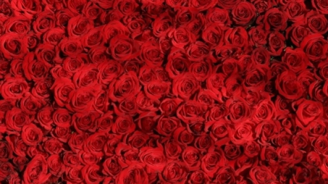 Frasi San Valentino 2017 d'amore e spiritose