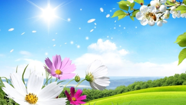 Meteo marzo 2017, primavera alle porte