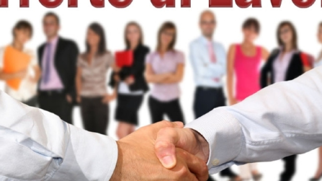 Offerte di lavoro delle aziende &raquo; La Gazzetta di Lucca - lagazzettadilucca.it
