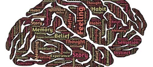 El TEA tiene una base neurobiol&oacute;gica. Public Domain.