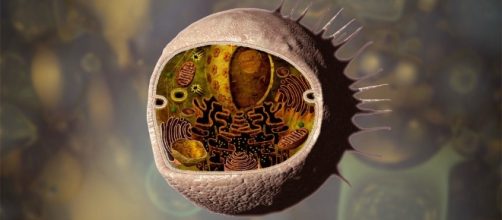 rajkumar tripathi (@rajkumartripa18) | Twitter - twitter.com