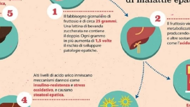 Eccesso di fruttosio e rischio epatico per bambini