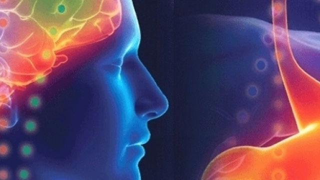 Il microbiota intestinale influenza l'emicrania.