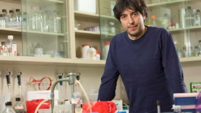 Valter Longo e la dieta della longevit&agrave;: i risultati di una recente ricerca.