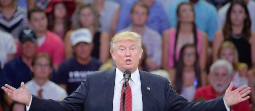 2016 election: 100 days of Donald Trump - POLITICO - politico.com