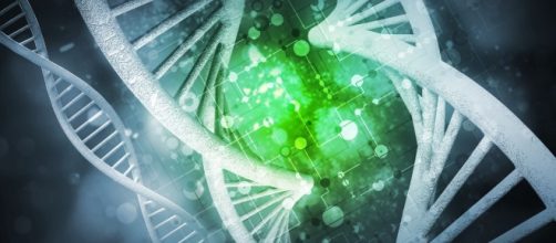 How blood cell genetic variations impact on common diseases - medicalxpress.com