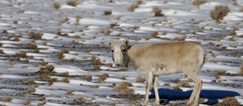 Science &ndash; Encyclopedic News - encyclopedic.co.uk