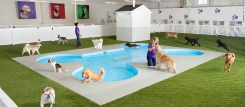 World's first animal terminal planned for JFK - CNN.com - cnn.com