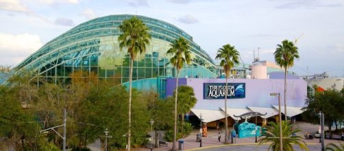 Florida Aquarium in Tampa, Florida | Expedia - expedia.com