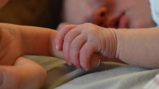 Bonus Beb&egrave; 2017 e Bonus Mamme Domani da 800 Euro - periodofertile.it