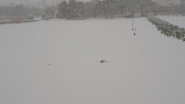 Copiose nevicate sul Salento a Gennaiom