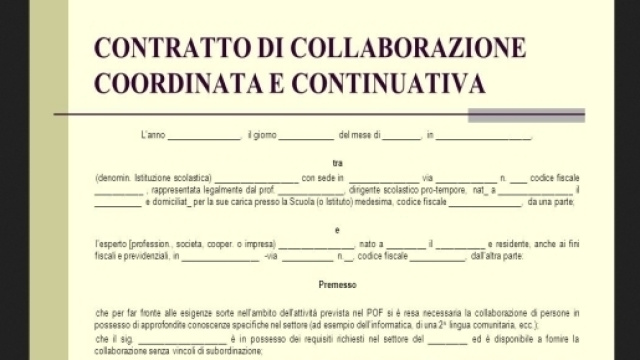 Un contratto di collaborazione coordinata e continuativa