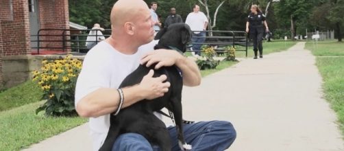 Dogs On The Inside - dogsontheinside.com