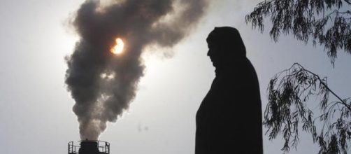 Environment News, Earth News, Global Warming, Wild Life, Carbon ... - indiatimes.com