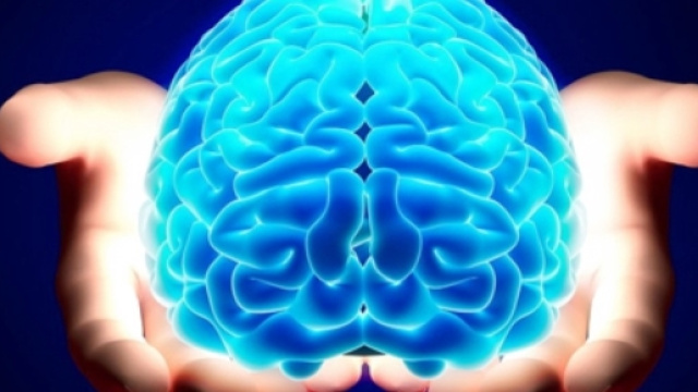 LE NEUROSCIENZE SOCIALI Approcci allo studio del cervello ... - groovehall.com