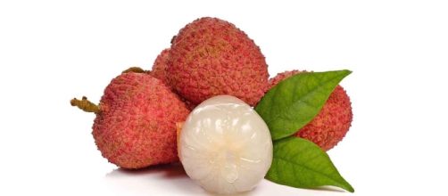 Fatal fruit - Lychees contain toxins