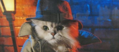 Los gatos que us&oacute; la CIA como esp&iacute;as | Historias de nuestra Historia - hdnh.es