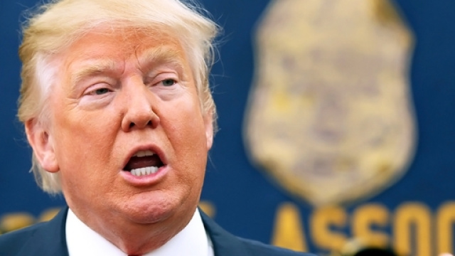 Donald Trump avrebbe capelli veri, non toupet