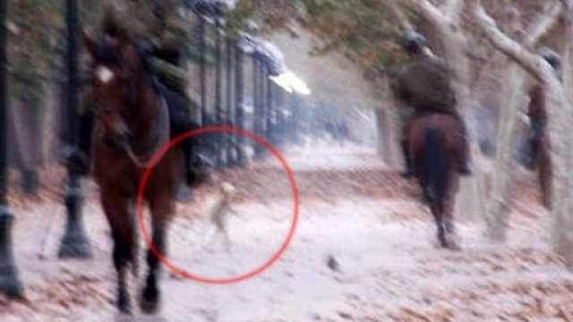 La foto con il presunto alieno