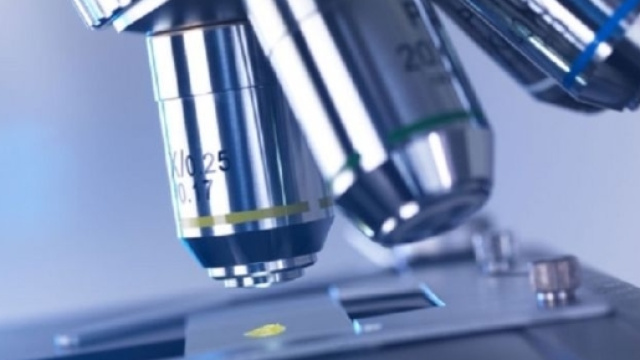 Nuove scoperte nella lotta contro il cancro