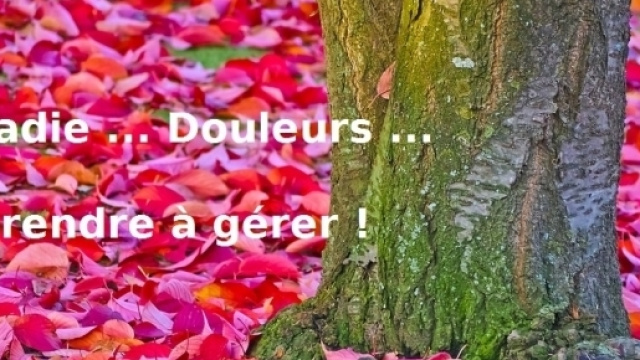 "Une maladie doit &ecirc;tre trait&eacute;e avec de l'espoir et de la volont&eacute;"