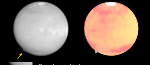 Elon Musk y Donald Trump pese a sus diferencias encuentran puntos en com&uacute;n